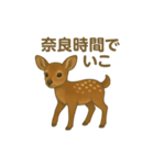 奈良公園のシカさんファミリー2025（個別スタンプ：13）