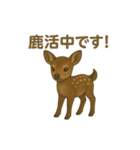 奈良公園のシカさんファミリー2025（個別スタンプ：14）