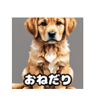 にっこり犬からガーン犬まで！表情40（個別スタンプ：7）