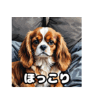 にっこり犬からガーン犬まで！表情40（個別スタンプ：19）