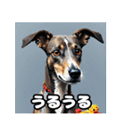 にっこり犬からガーン犬まで！表情40（個別スタンプ：21）