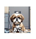 にっこり犬からガーン犬まで！表情40（個別スタンプ：22）