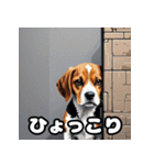 にっこり犬からガーン犬まで！表情40（個別スタンプ：25）
