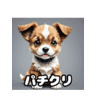 にっこり犬からガーン犬まで！表情40（個別スタンプ：27）