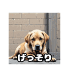 にっこり犬からガーン犬まで！表情40（個別スタンプ：28）