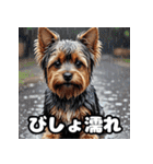 にっこり犬からガーン犬まで！表情40（個別スタンプ：35）