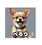 にっこり犬からガーン犬まで！表情40（個別スタンプ：37）