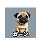 にっこり犬からガーン犬まで！表情40（個別スタンプ：40）
