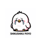 ひよこぽよちゃん ぷくぷくスタンプ（個別スタンプ：5）