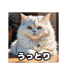 表情ゆたかなねこたちスタンプ（個別スタンプ：3）