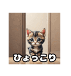 表情ゆたかなねこたちスタンプ（個別スタンプ：4）
