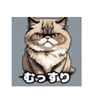 表情ゆたかなねこたちスタンプ（個別スタンプ：12）