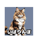 表情ゆたかなねこたちスタンプ（個別スタンプ：15）