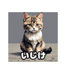 表情ゆたかなねこたちスタンプ（個別スタンプ：20）