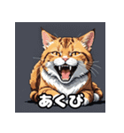 表情ゆたかなねこたちスタンプ（個別スタンプ：22）