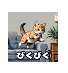 表情ゆたかなねこたちスタンプ（個別スタンプ：24）