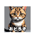 表情ゆたかなねこたちスタンプ（個別スタンプ：26）