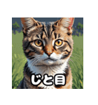 表情ゆたかなねこたちスタンプ（個別スタンプ：27）