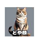 表情ゆたかなねこたちスタンプ（個別スタンプ：31）