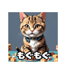 表情ゆたかなねこたちスタンプ（個別スタンプ：33）