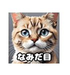 表情ゆたかなねこたちスタンプ（個別スタンプ：34）