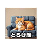 表情ゆたかなねこたちスタンプ（個別スタンプ：38）