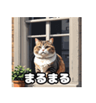 表情ゆたかなねこたちスタンプ（個別スタンプ：39）
