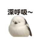 リアル癒し系シマエナガ応援スタンプ（個別スタンプ：1）