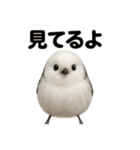 リアル癒し系シマエナガ応援スタンプ（個別スタンプ：11）