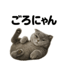 スコティッシュホールド猫のもふもふ日常（個別スタンプ：9）