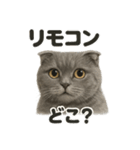 スコティッシュホールド猫のもふもふ日常（個別スタンプ：16）