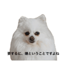 たんぽぽ日記ネオフュージョン（個別スタンプ：4）