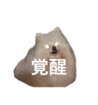 たんぽぽ日記ネオフュージョン（個別スタンプ：6）