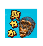 ボノボモーニング（個別スタンプ：1）