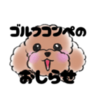 ゴルフ好きなトイプードル（個別スタンプ：1）