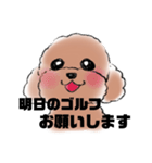ゴルフ好きなトイプードル（個別スタンプ：3）