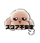 ゴルフ好きなトイプードル（個別スタンプ：5）