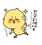 韓国語 ひよこ うさぎ くま（個別スタンプ：3）