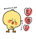 韓国語 ひよこ うさぎ くま（個別スタンプ：6）