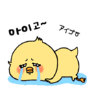 韓国語 ひよこ うさぎ くま（個別スタンプ：13）