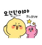 韓国語 ひよこ うさぎ くま（個別スタンプ：14）