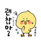 韓国語 ひよこ うさぎ くま（個別スタンプ：19）