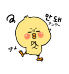 韓国語 ひよこ うさぎ くま（個別スタンプ：23）