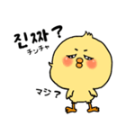 韓国語 ひよこ うさぎ くま（個別スタンプ：24）