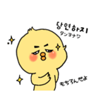 韓国語 ひよこ うさぎ くま（個別スタンプ：25）