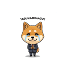 ビジネス柴犬シュウイチ第3弾スタンプ（個別スタンプ：19）
