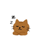 大きい猫2匹大きさ色々茶色猫韓国語（個別スタンプ：12）