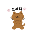 大きい猫2匹大きさ色々茶色猫韓国語（個別スタンプ：16）