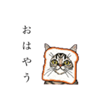 ドットなパン猫のシュールな日常（個別スタンプ：1）