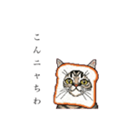 ドットなパン猫のシュールな日常（個別スタンプ：2）